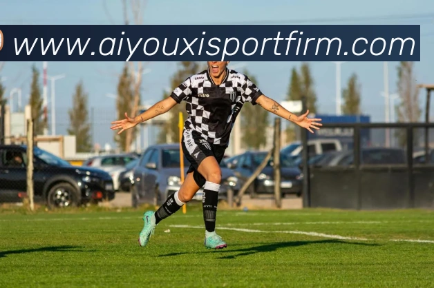 爱游戏体育品牌故事