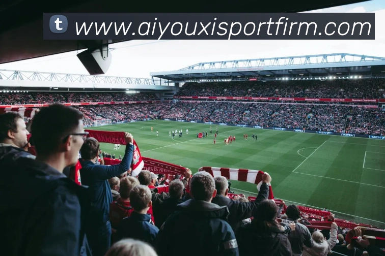 爱游戏体育服务体系